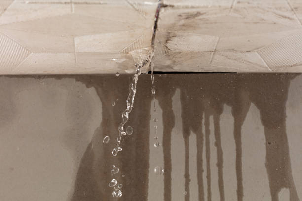 Professional Burst Pipe Cleanup technician working in Pine Mountain Club, CA
